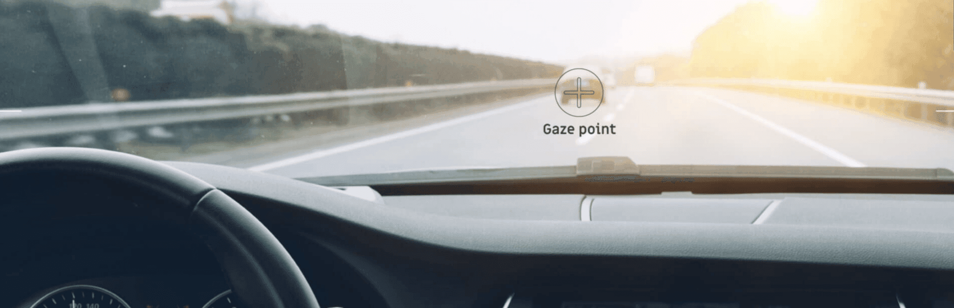 Eye tracking system being used for Driver Monitoring in car