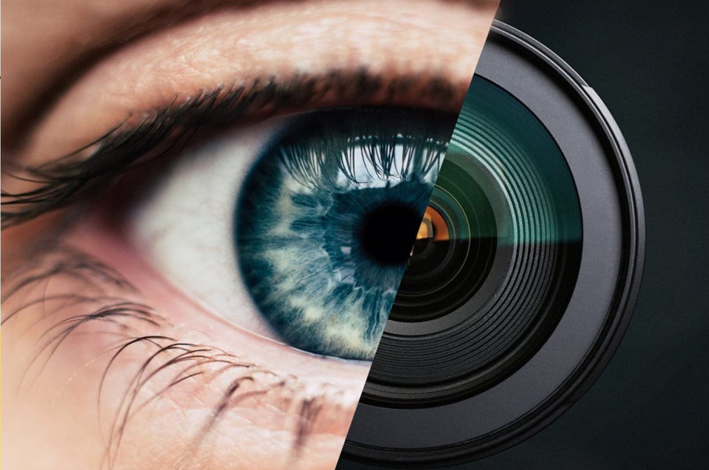 eye tracking