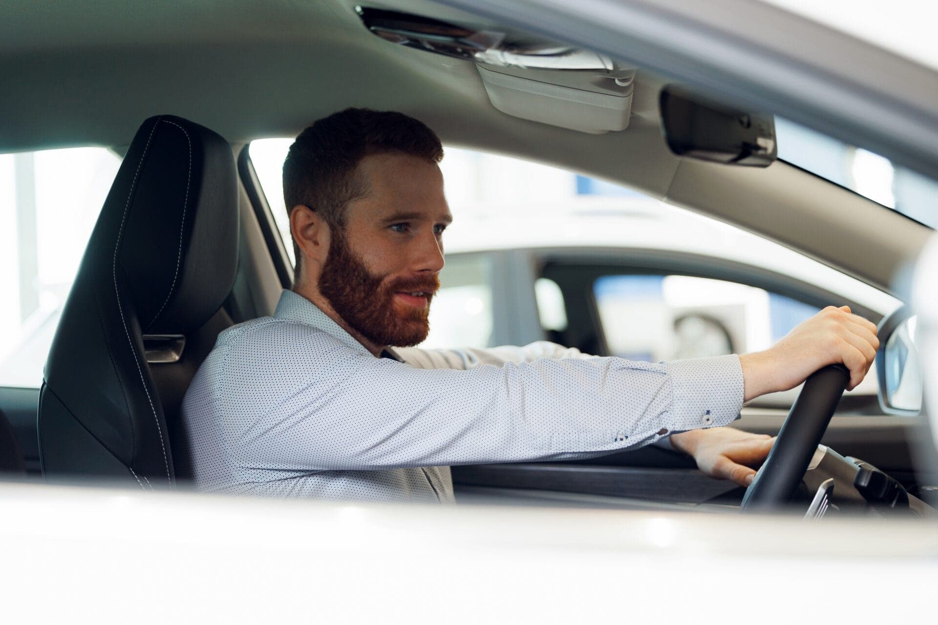 Euro NCAP dms